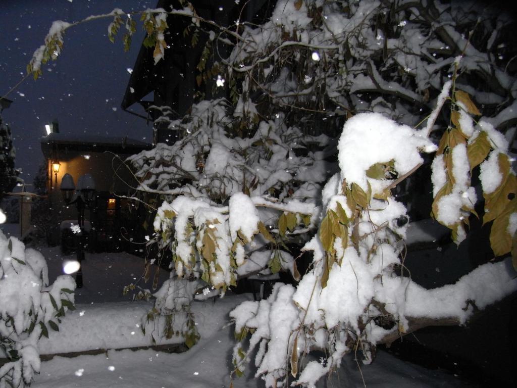 Hotel Du Parc La Rochette  ภายนอก รูปภาพ